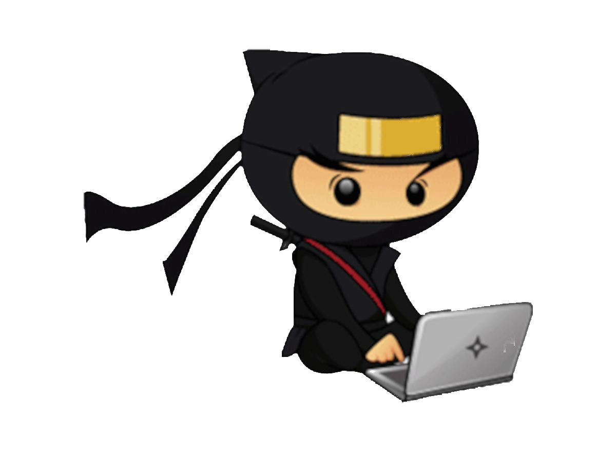 CS Ninja